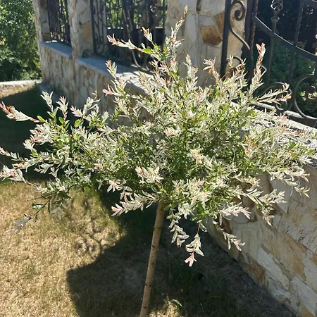 Casa vacanze Domik Zubanicha *